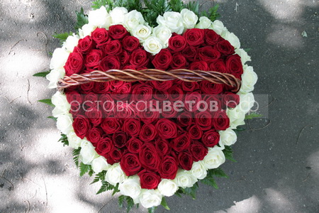 Сердце из 101 розы "Поклонник"